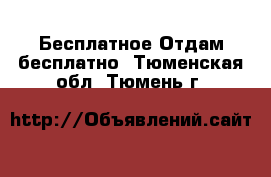 Бесплатное Отдам бесплатно. Тюменская обл.,Тюмень г.